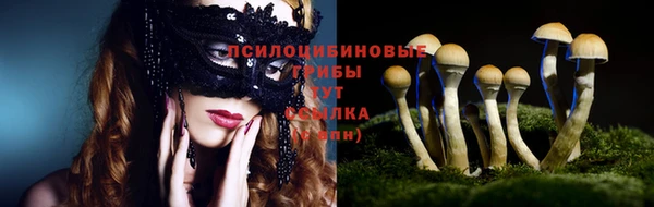 молекула духа Абинск