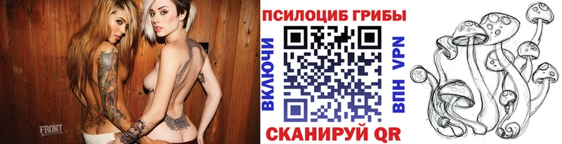 Псилоцибиновые грибы Cubensis  Ишимбай 